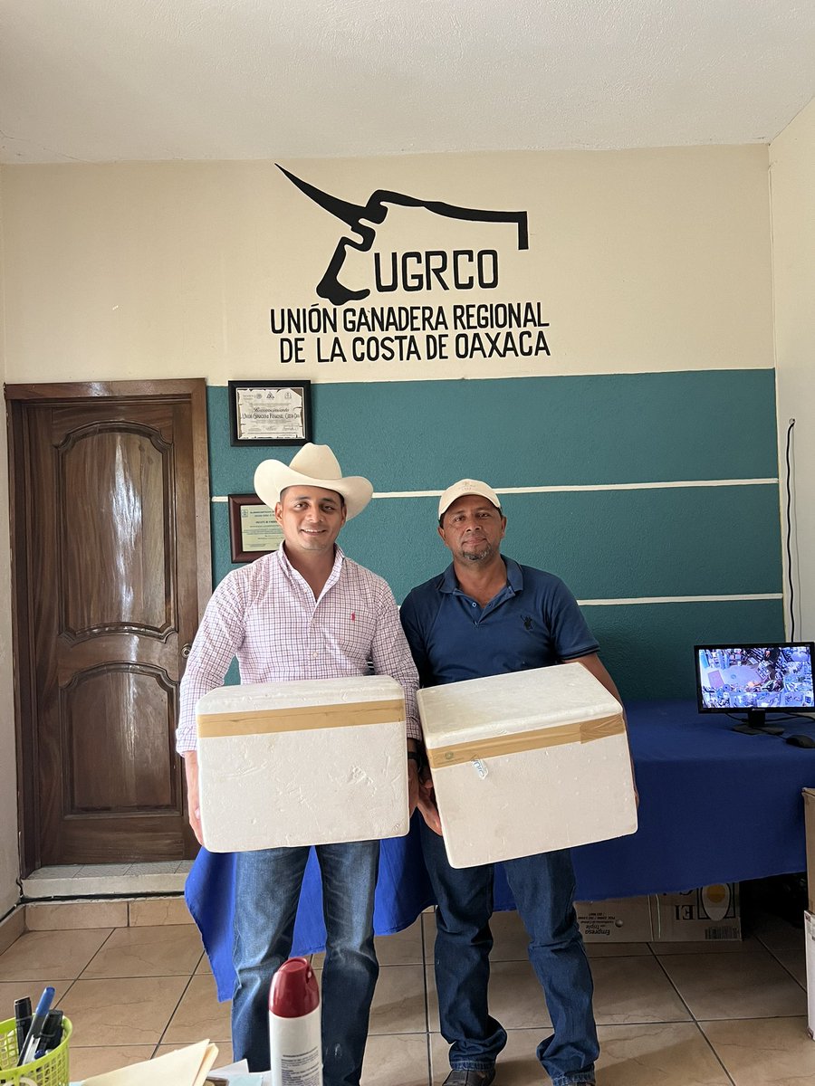 Un privilegio perder apoyar con dosis de vacunas,para la prevención y protección de Rabia Paralítica Bovina, a los pequeños productores pecuarios de Santo Domingo Armenta. Ratificando que cuenten siempre con nosotros. 
#Costa🌴 #Oaxaca <a href="/JulioBerdegue/">Julio Berdegué</a>