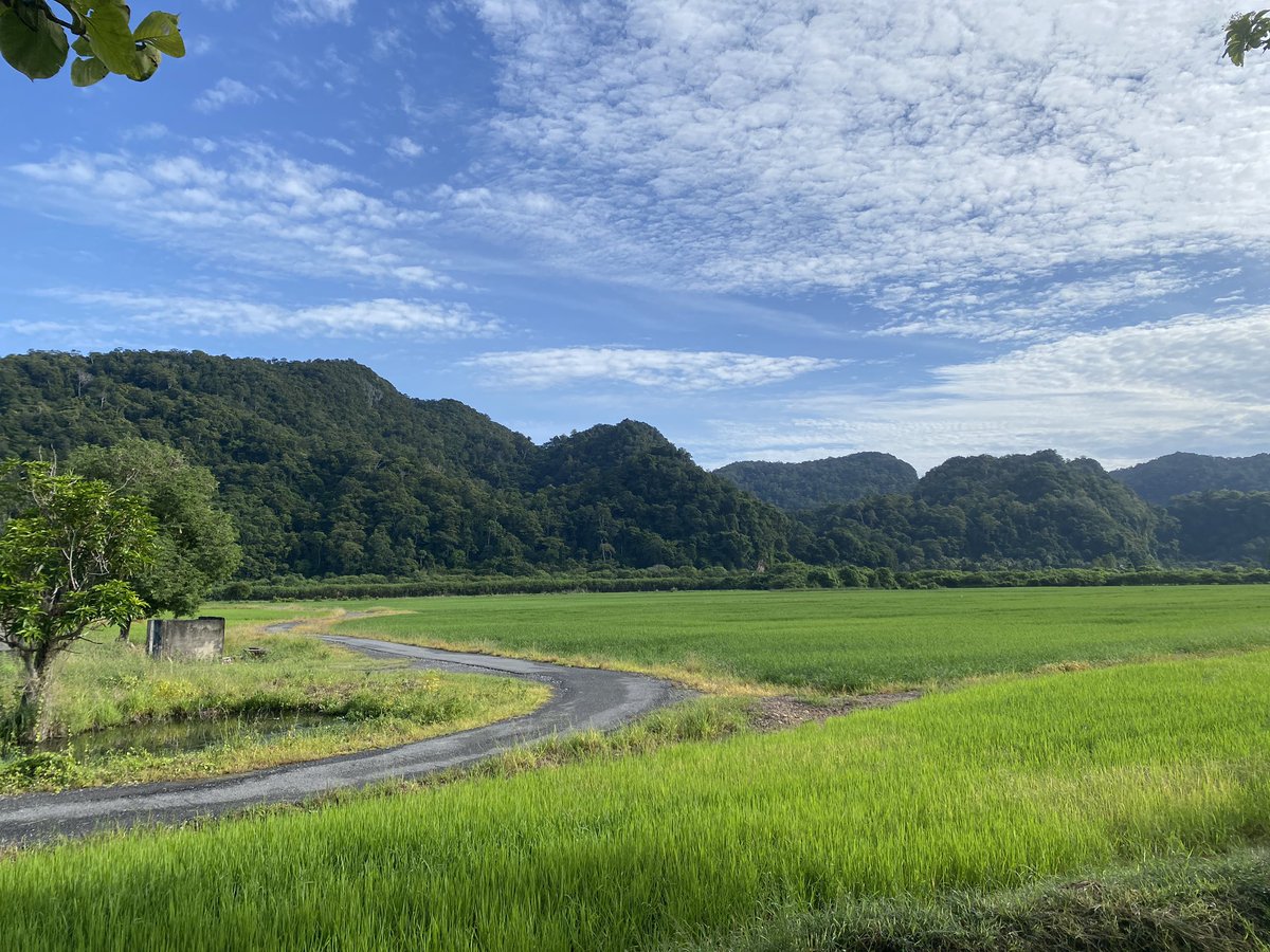 magushsilence's tweet photo. Cantik pagi ni!

Kampung Wai, Perlis https://t.co/6nXSavFKbq