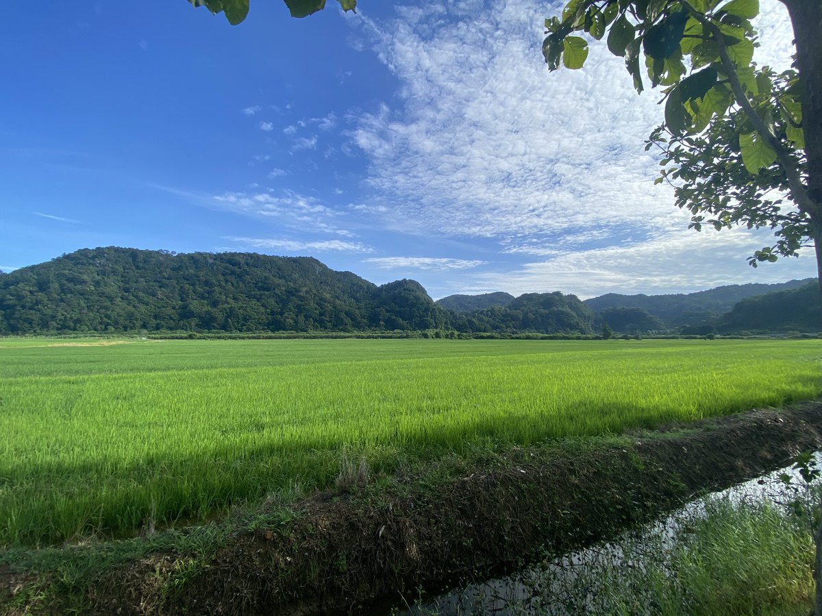 magushsilence's tweet photo. Cantik pagi ni!

Kampung Wai, Perlis https://t.co/6nXSavFKbq