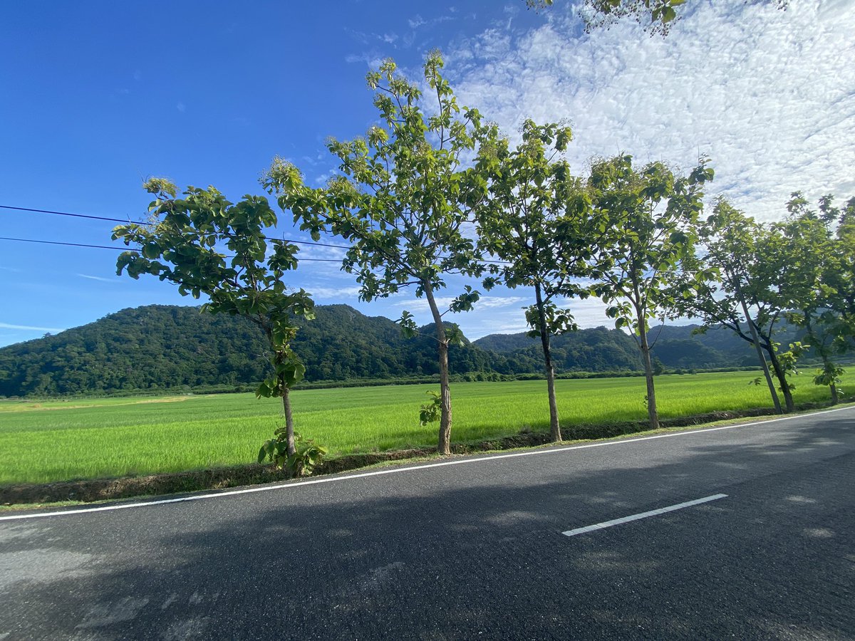 magushsilence's tweet photo. Cantik pagi ni!

Kampung Wai, Perlis https://t.co/6nXSavFKbq