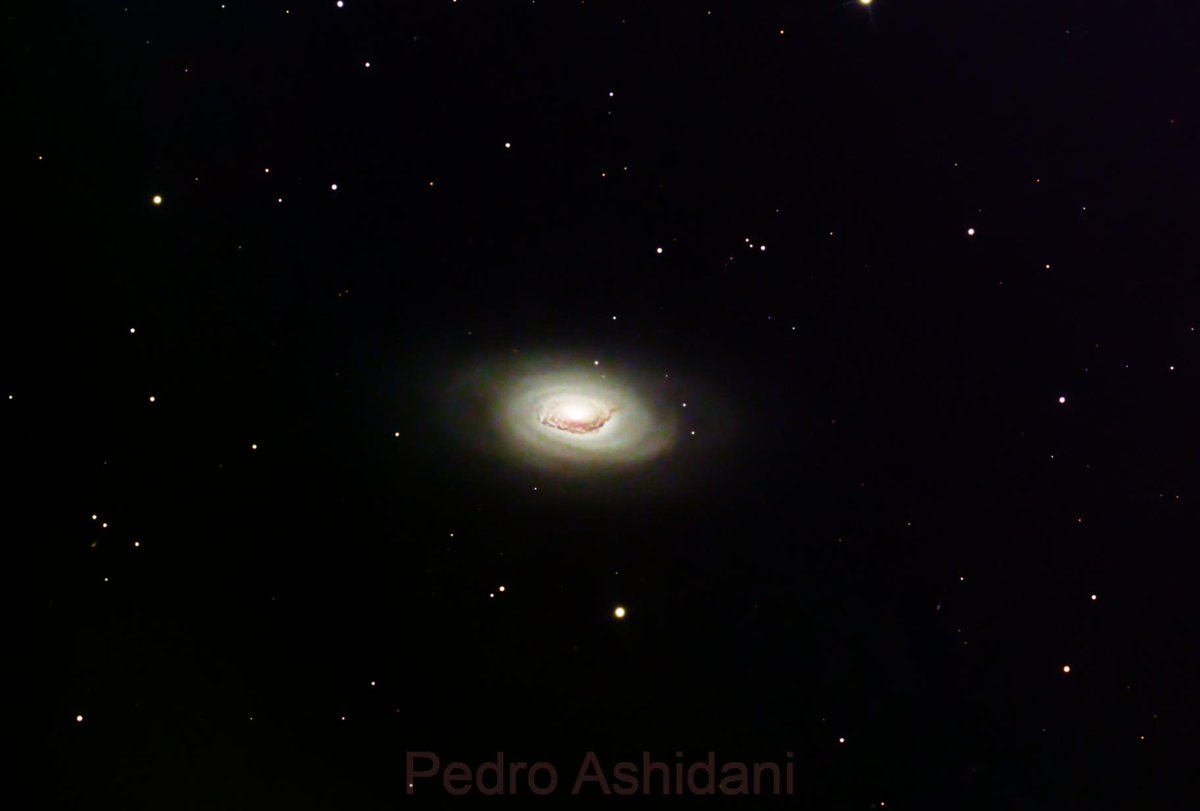 ashidani's tweet photo. Objeto M64 é também conhecida como Galáxia do Olho Negro, situa-se a uma distância de 17nminlões de anos-luz da Terra.
Usei quase 5 horas em 2 dias para capturar  com uma câmera mono e filtro LRGB.
Telescópio Ritchey–Chrétien de 150mm de abertura e distância focal de 1390mm https://t.co/jkKkcQomlc
