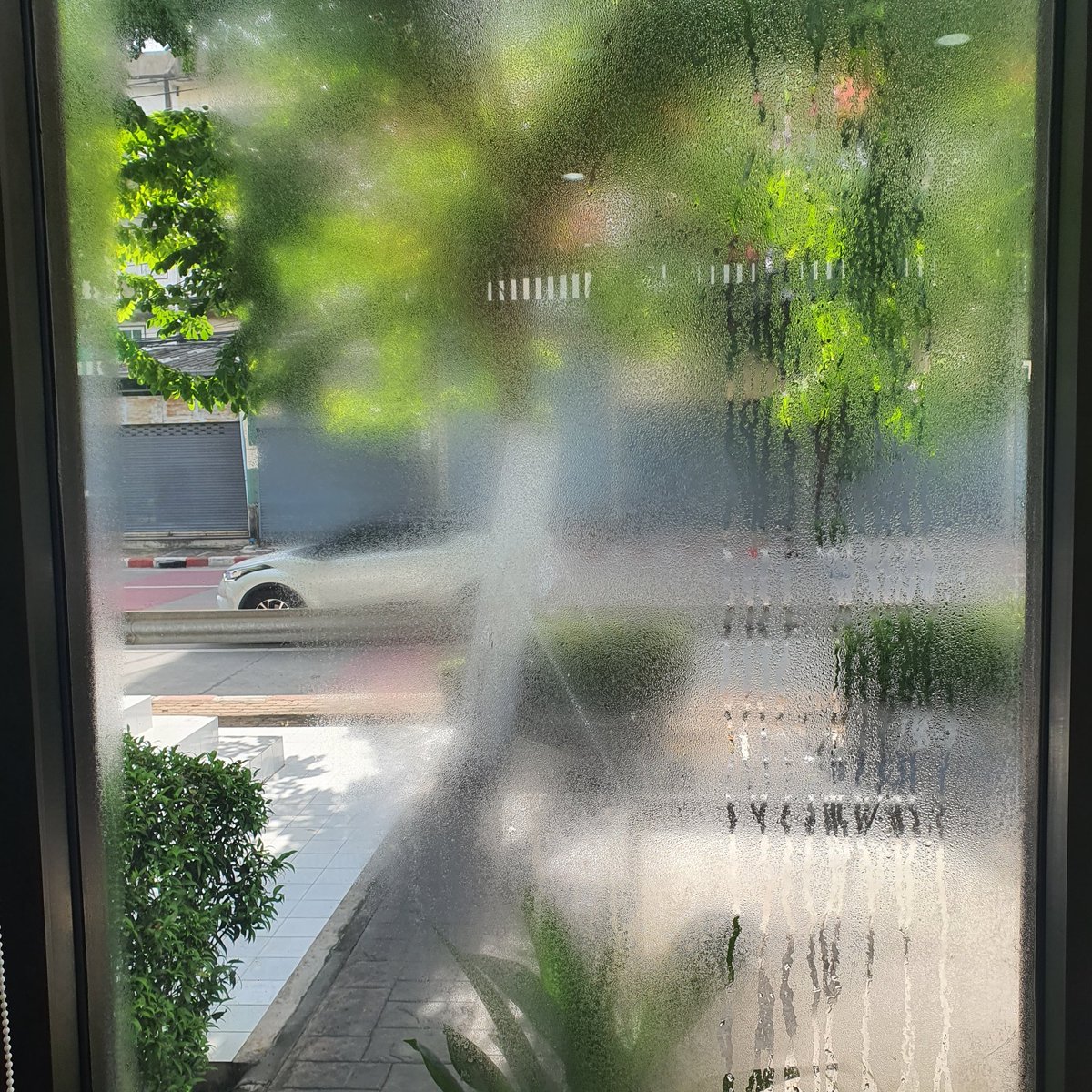 ปราย tweet media