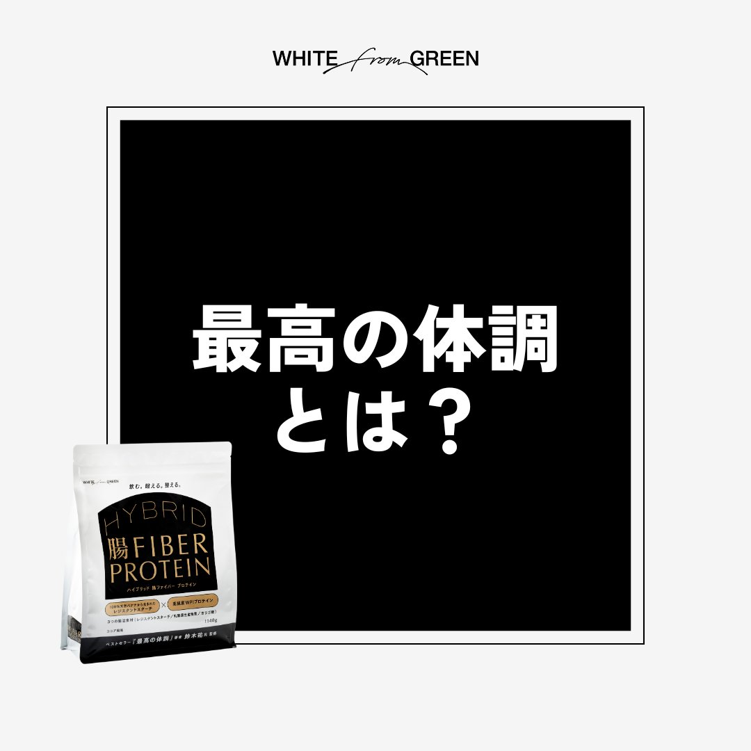 ハイブリッド腸ファイバープロテイン 1140g 2個