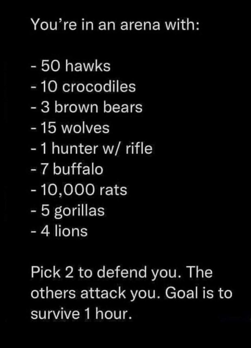 The Johnny B Show tweet media