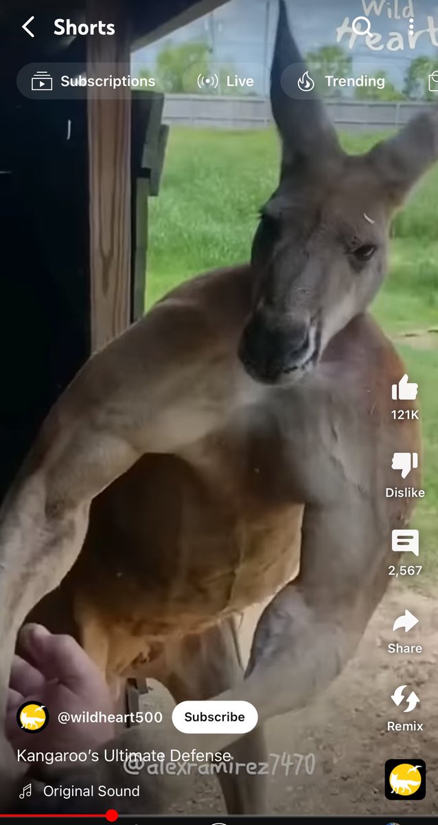 Ashley McGlone tweet media