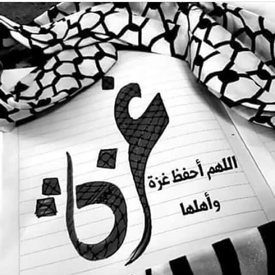 ab4hor's tweet photo. #starlinkforgaza https://t.co/0t3PODJYtb
