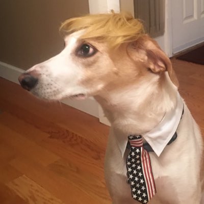 Roger Savage tweet media