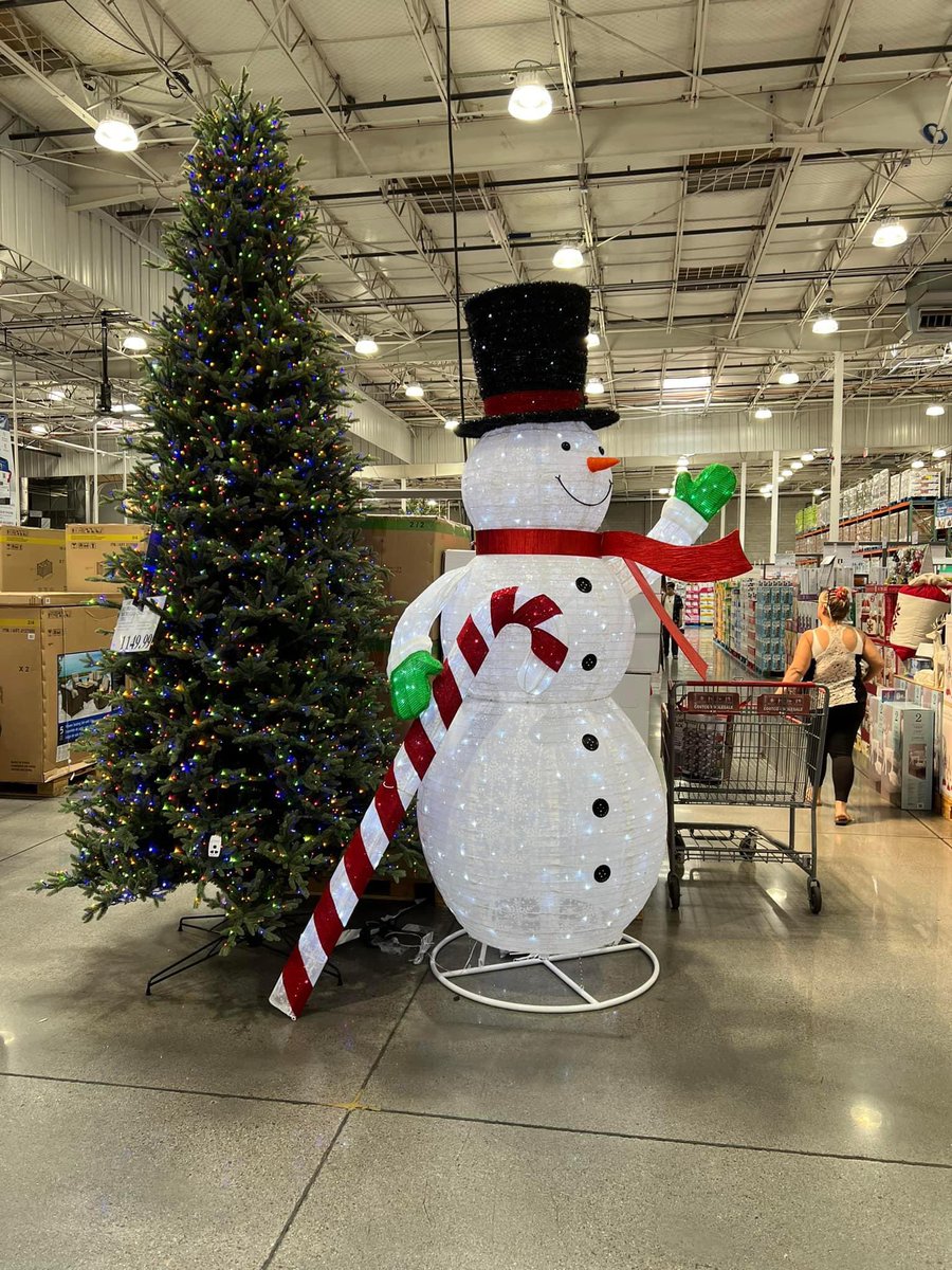 Taylor #GlimmerGang tweet media