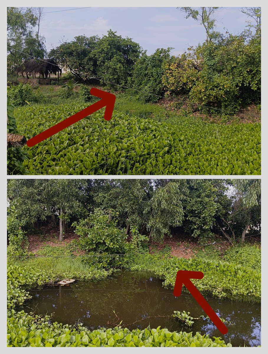 Sibaprasad Mohanty (@sibu7890) on Twitter photo ପୋଖରୀ ଉପରେ ବିଦ୍ୟୁତ୍ ତାର ଲଟକି ରହିଛି, ଜାହା କି ଜୀବଜନ୍ତୁ ଙ୍କ ସହିତ ଲୋକ ମାନଙ୍କ ପାଇଁ ବିପଦ ସାଜିଛି ଏଥି ପ୍ରତି ତୁରନ୍ତ ଦୃଷ୍ଟି ଦିଅନ୍ତୁ <a href="/TPCentralOdisha/">TP Central Odisha Distribution Ltd</a> ସ୍ଥାନ/ ଠିକଣା - ଜଗତସିଂହପୁର ଜିଲ୍ଲା ର ଏରସମା ବ୍ଲକ ଅନ୍ତର୍ଗତ, ଢିଙ୍କିଆ ପଞ୍ଚାୟତ ର ଯୋଗୀସାହି,
ଯୋଗା ଯୋଗ - 8598914176 ପୋଖରୀ ଉପରେ ବିଦ୍ୟୁତ୍ ତାର ଲଟକି ରହିଛି, ଜାହା କି ଜୀବଜନ୍ତୁ ଙ୍କ ସହିତ ଲୋକ ମାନଙ୍କ ପାଇଁ ବିପଦ ସାଜିଛି ଏଥି ପ୍ରତି ତୁରନ୍ତ ଦୃଷ୍ଟି ଦିଅନ୍ତୁ <a href="/TPCentralOdisha/">TP Central Odisha Distribution Ltd</a> ସ୍ଥାନ/ ଠିକଣା - ଜଗତସିଂହପୁର ଜିଲ୍ଲା ର ଏରସମା ବ୍ଲକ ଅନ୍ତର୍ଗତ, ଢିଙ୍କିଆ ପଞ୍ଚାୟତ ର ଯୋଗୀସାହି,
ଯୋଗା ଯୋଗ - 8598914176