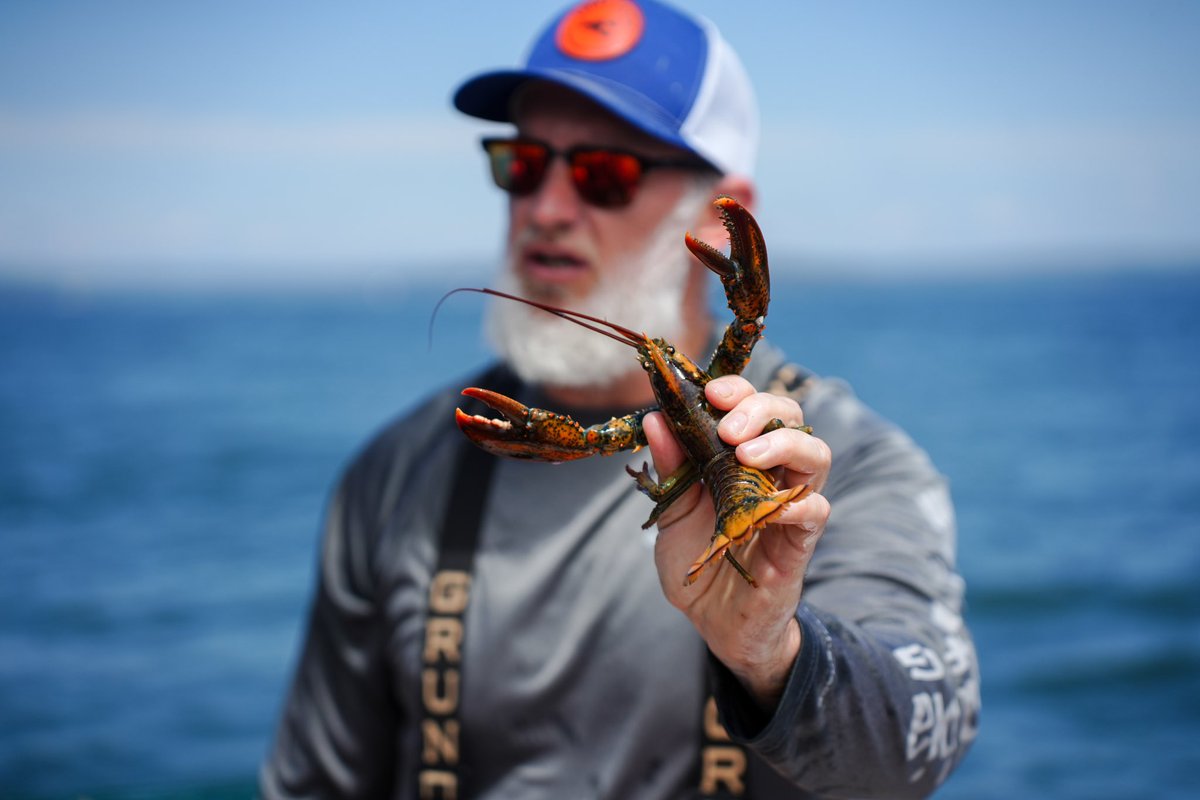 jwaltvisuals tweet media