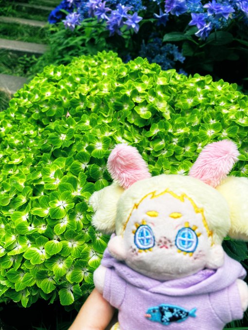 最近のぬい撮り載せ 