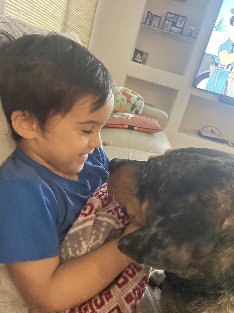 mayapapaya319's tweet image. Just a boy and his dog #thesetwo 😍❤️