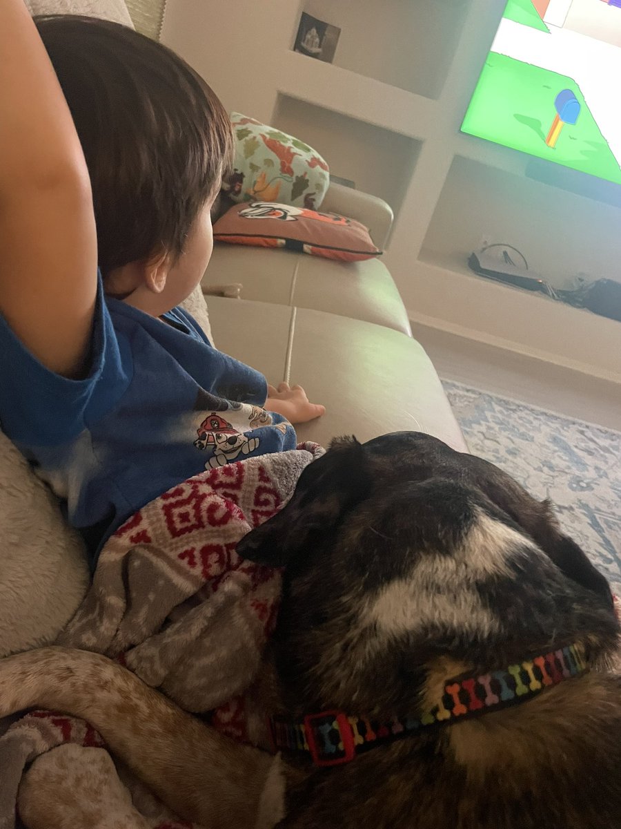 mayapapaya319's tweet image. Just a boy and his dog #thesetwo 😍❤️