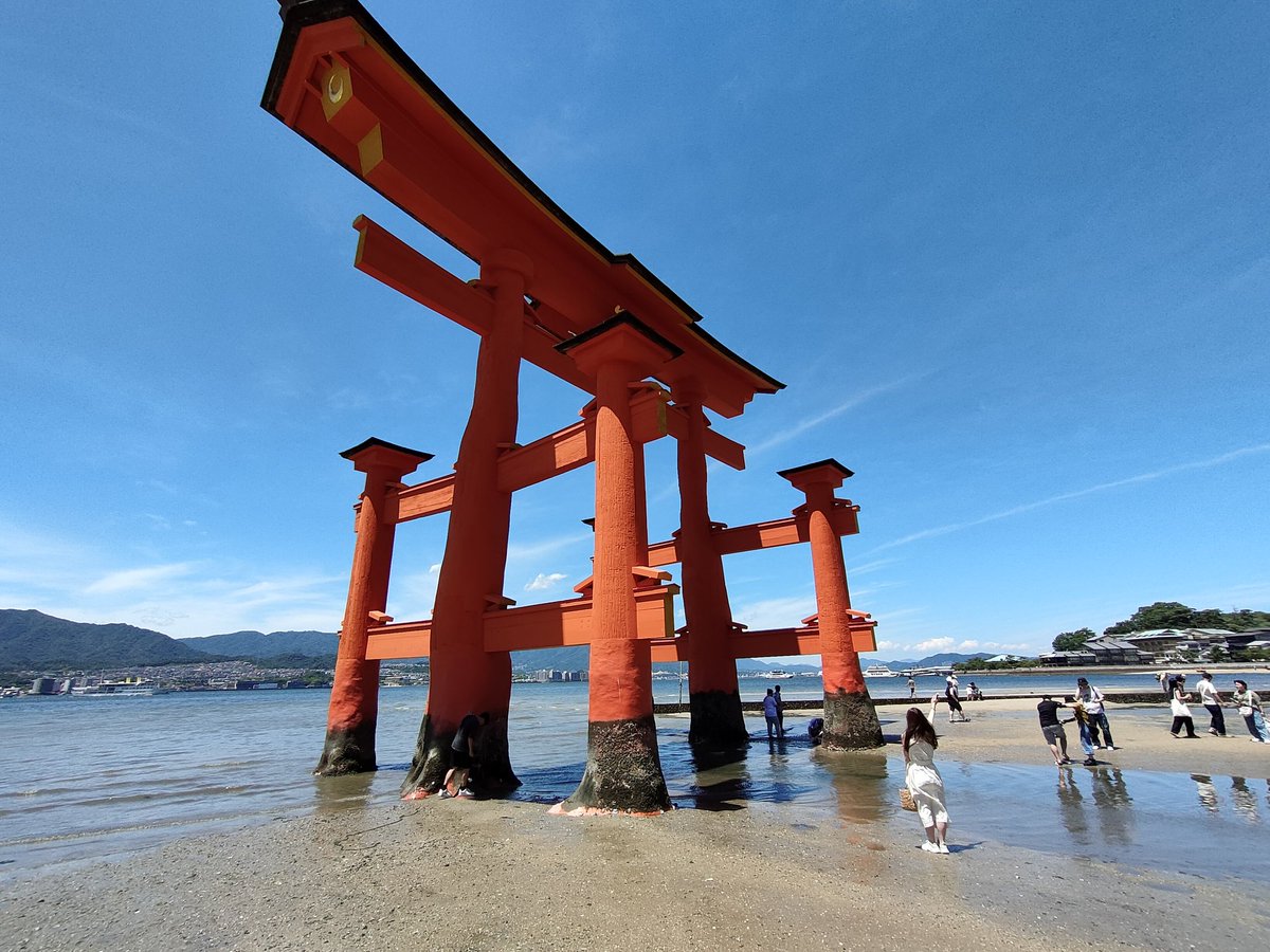 あふたぬ～ん＠銀トロ風味 tweet media