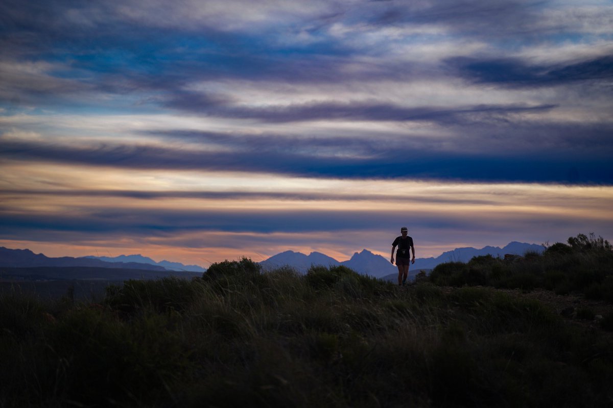 vuurtoring tweet media