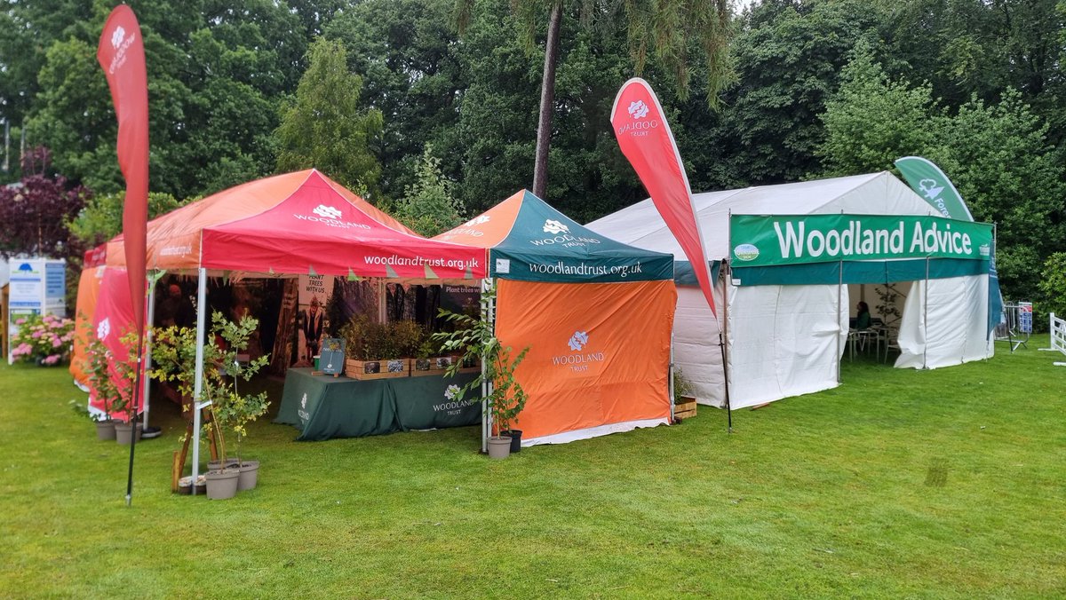 WT_PaulMos's tweet image. Visit the @WoodlandTrust stand 406 near the Forestry area Climbing Poles @greatyorkshow this week.
Get a Free Tee and Woodland Advice at the stand next door. @whiteroseforest  @ForestryComm  @HumberForest #PlantMoreTrees #NorthernForest