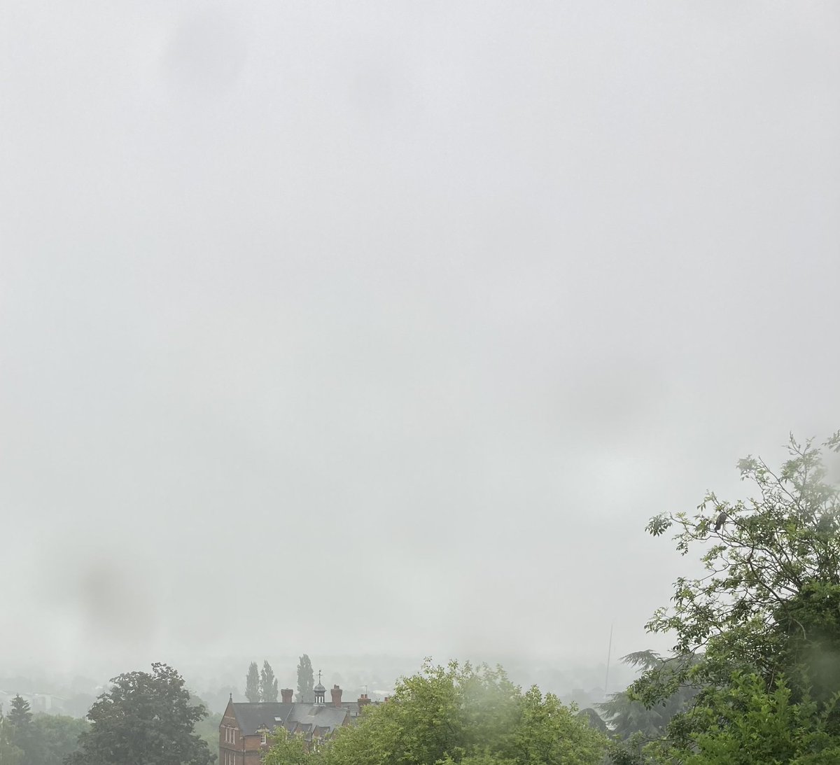 sfh300's tweet image. I’m returning all those summer shirts, etc, I bought this year. 

#WhatSummer?
#SummerStyle