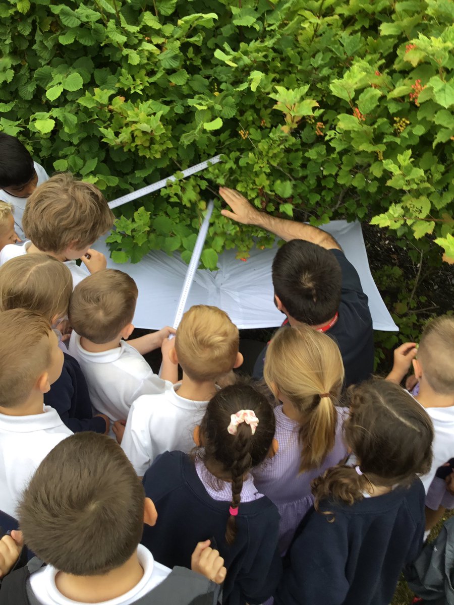 Miss Finn tweet media