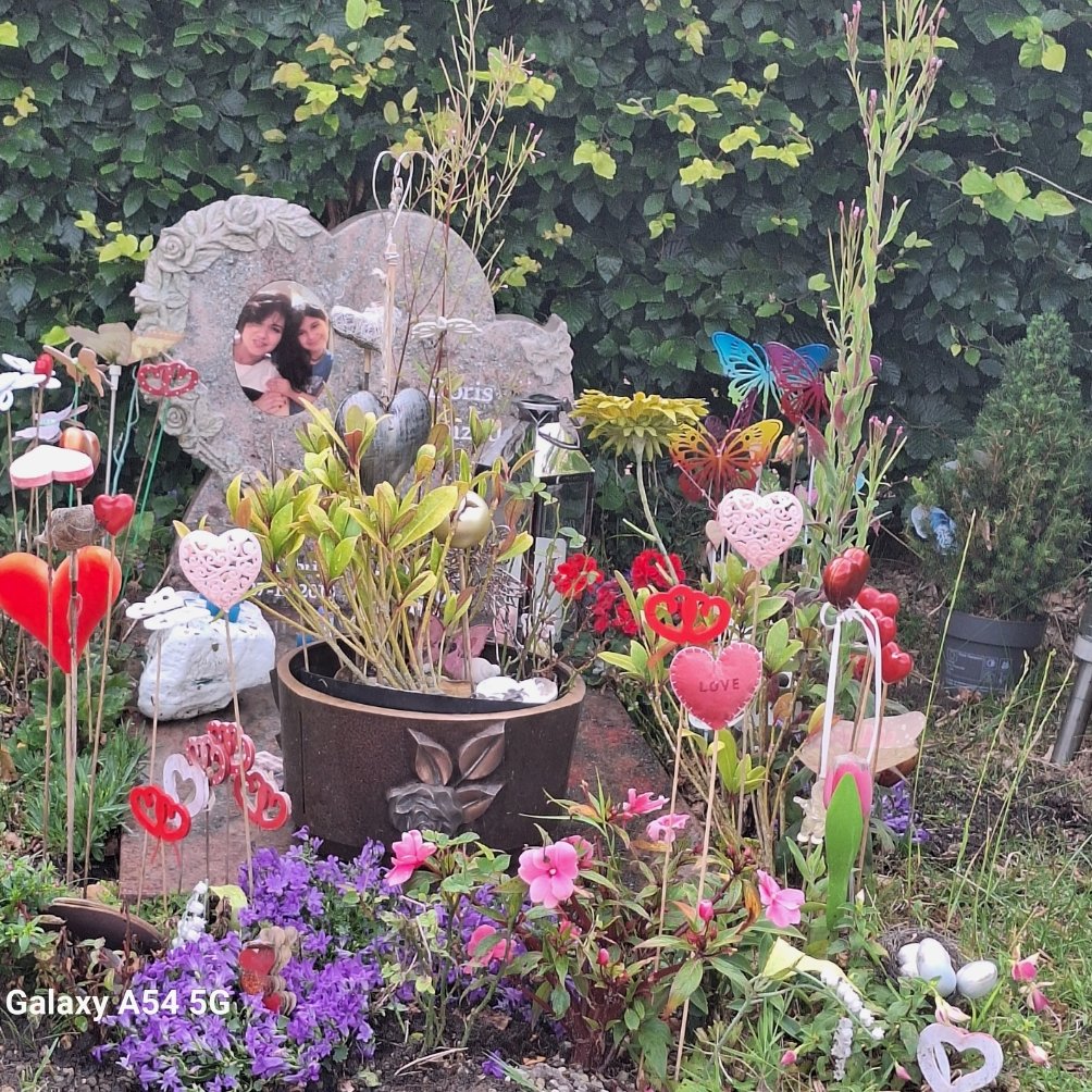 AbyarSelda's tweet photo. My angel, Doris, I am your earthy mother, I sit near your grave, hope everywhere u R , u be happy, powerful and proud,u converted to the sing of birds and the song of wind 2 me, I wish 2 convert 2 a ligth wall around u to protect u 4 ever, love u always mama Selda #rememberDoris https://t.co/iJzk72hcsr
