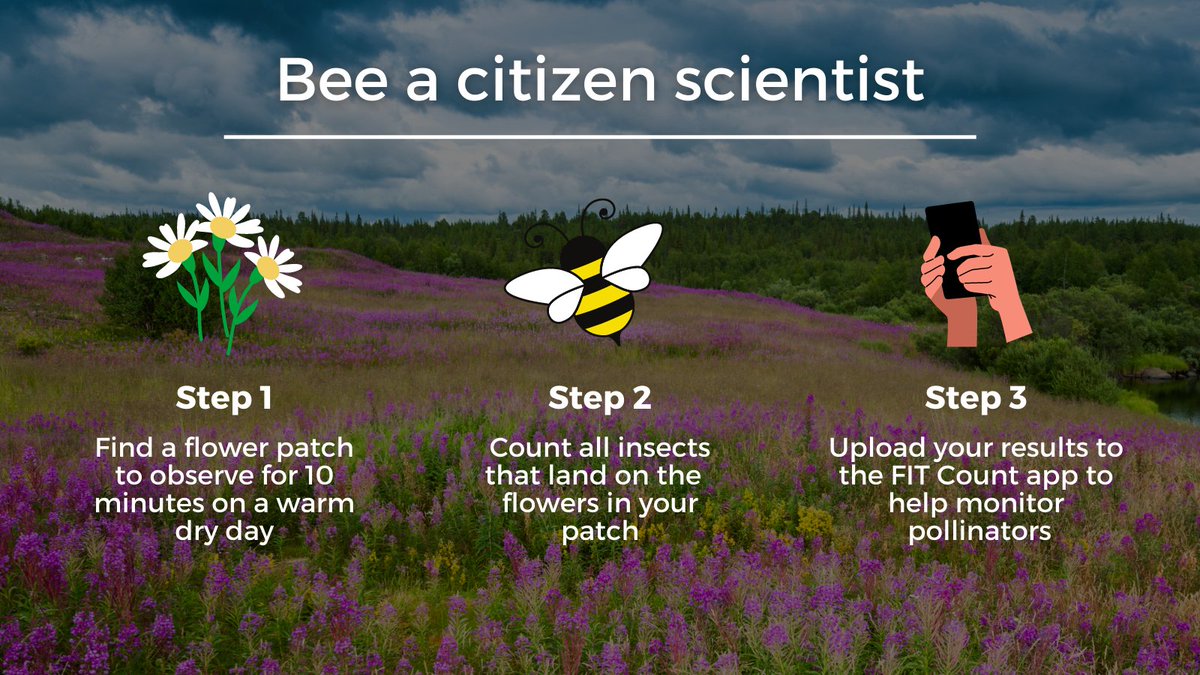 Buzzing to bee a citizen scientist? 🐝

It takes just 10 minutes to help monitor #Pollinator populations in the UK. Find out more and download the app. ukpoms.org.uk/fit-counts

#BeesNeedsWeek