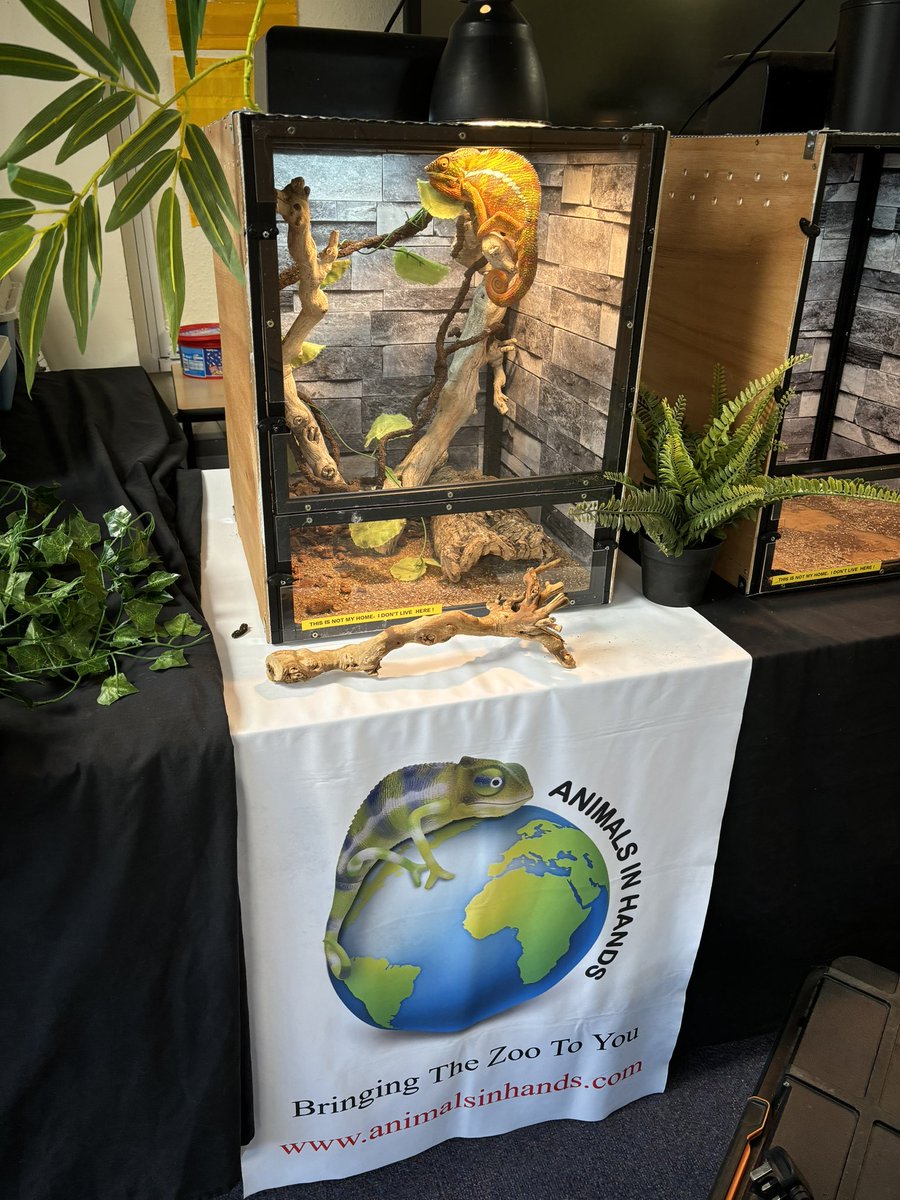 What an exciting day! Looking forward to spending time with <a href="/AnimalsinHands/">Animals In Hands</a>