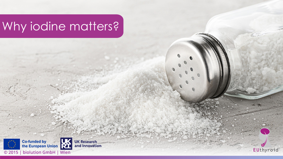 EUthyroid_H2020's tweet photo. Countries need flexible policy strategies to protect people from #iodine deficiency,  mandatory policies for the use of iodised food-grade salt in processed foods and integration of #salt #reduction and salt #iodisation measures by advising to use less, but #iodised salt. #HaDEA https://t.co/xSJx38NPQ7