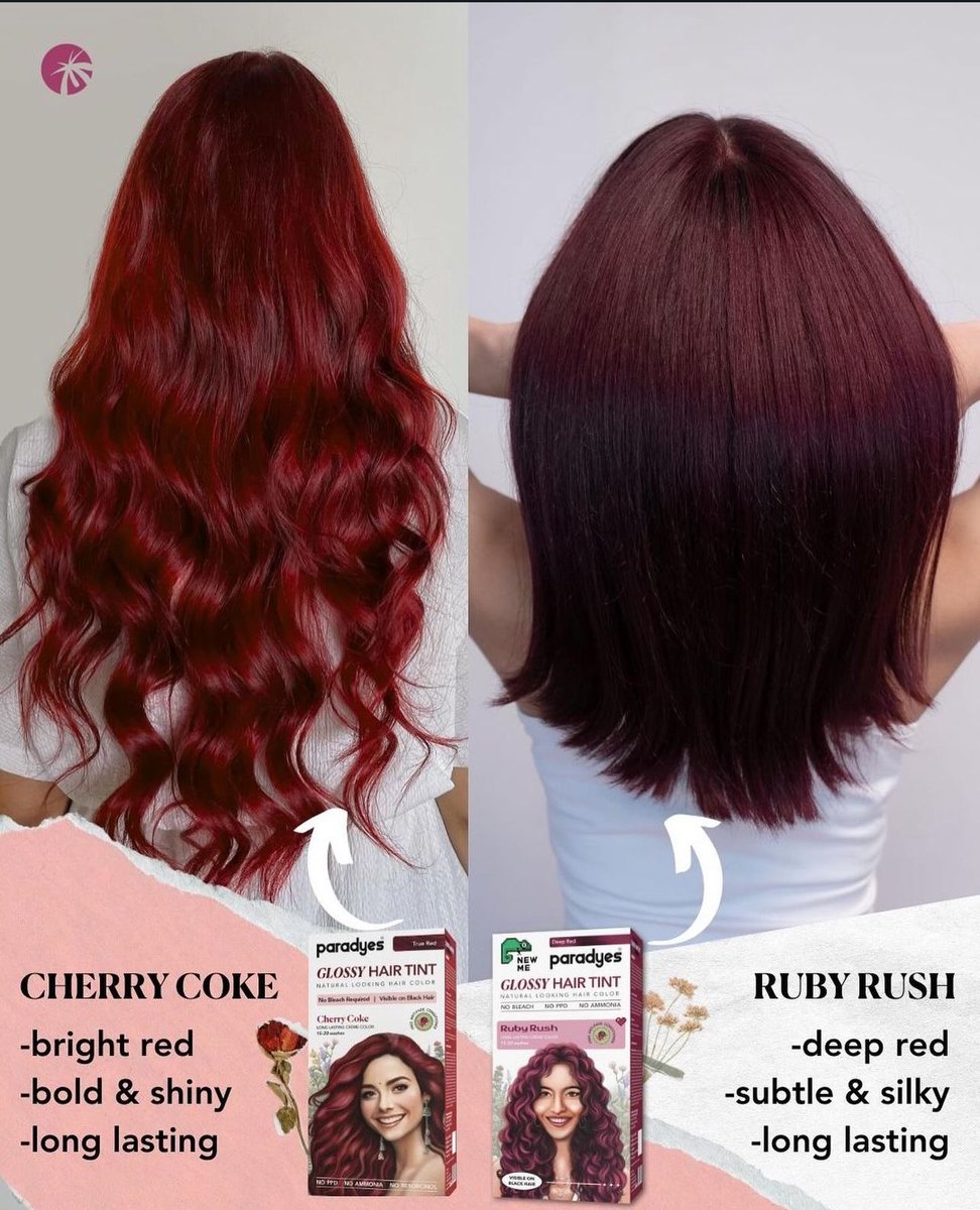 Paradyes tweet media