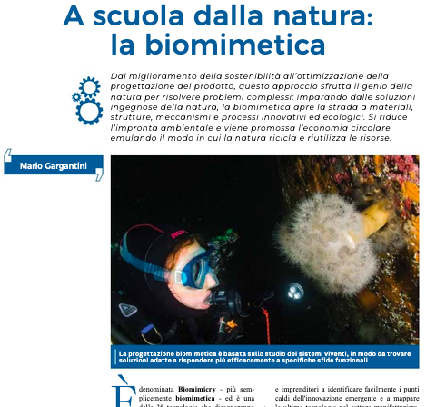 Non c'è solo l'Intelligenza Artificiale #AI: i tecnologi hanno più fantasia bit.ly/3SnHRgP <a href="/centriculturali/">Centri culturali</a> <a href="/Euresis_IT/">Associazione Euresis</a> <a href="/automazioneplus/">automazione-plus.it</a>