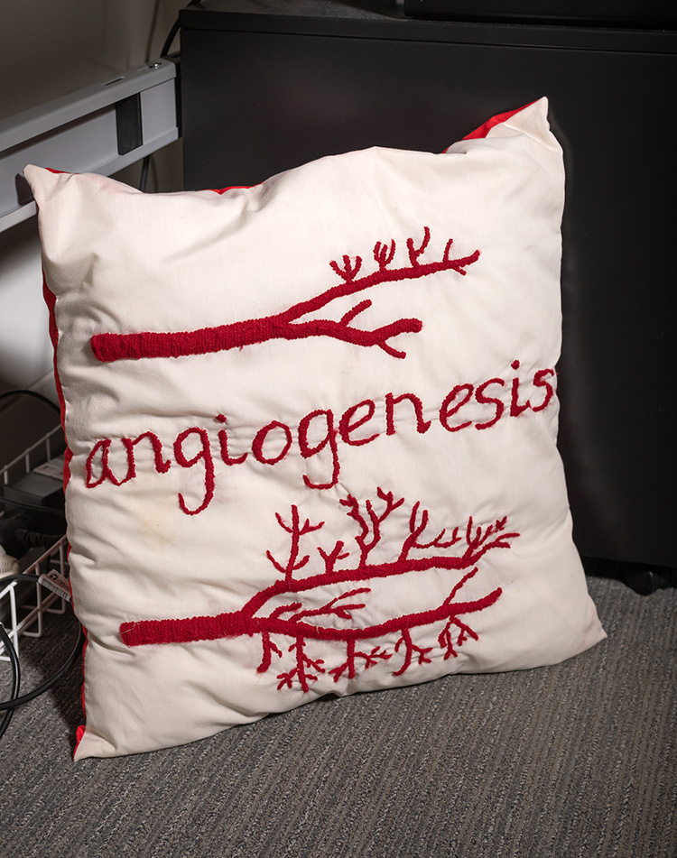 Object three: Cushion
"When I started doing research few people outside science understood what we were doing. Now scientists are expected to communicate what they do, which is incredibly important and fun!"