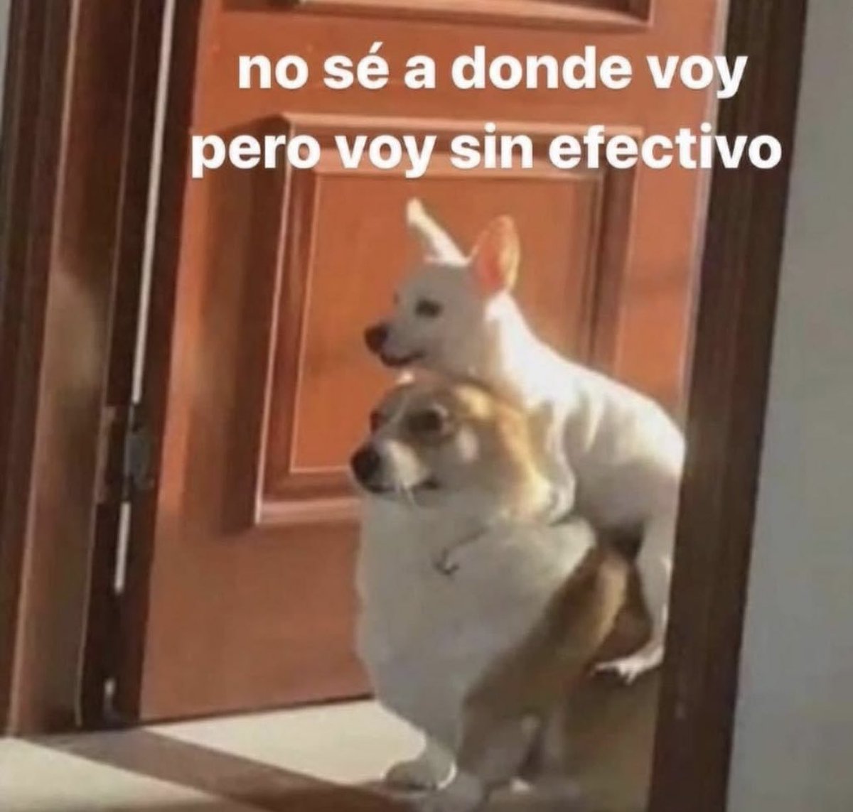 piña sin pizza (@skereunpesado) on Twitter photo 