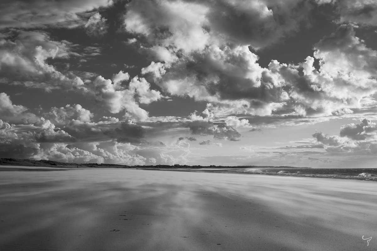 JongejanPhoto's tweet photo. Banjaardstrand
#beach #landscapephotography #sky #clouds #blackandwhite #blackandwhitephotography #Weather #sand #wind #cameramee https://t.co/OREROvbP62