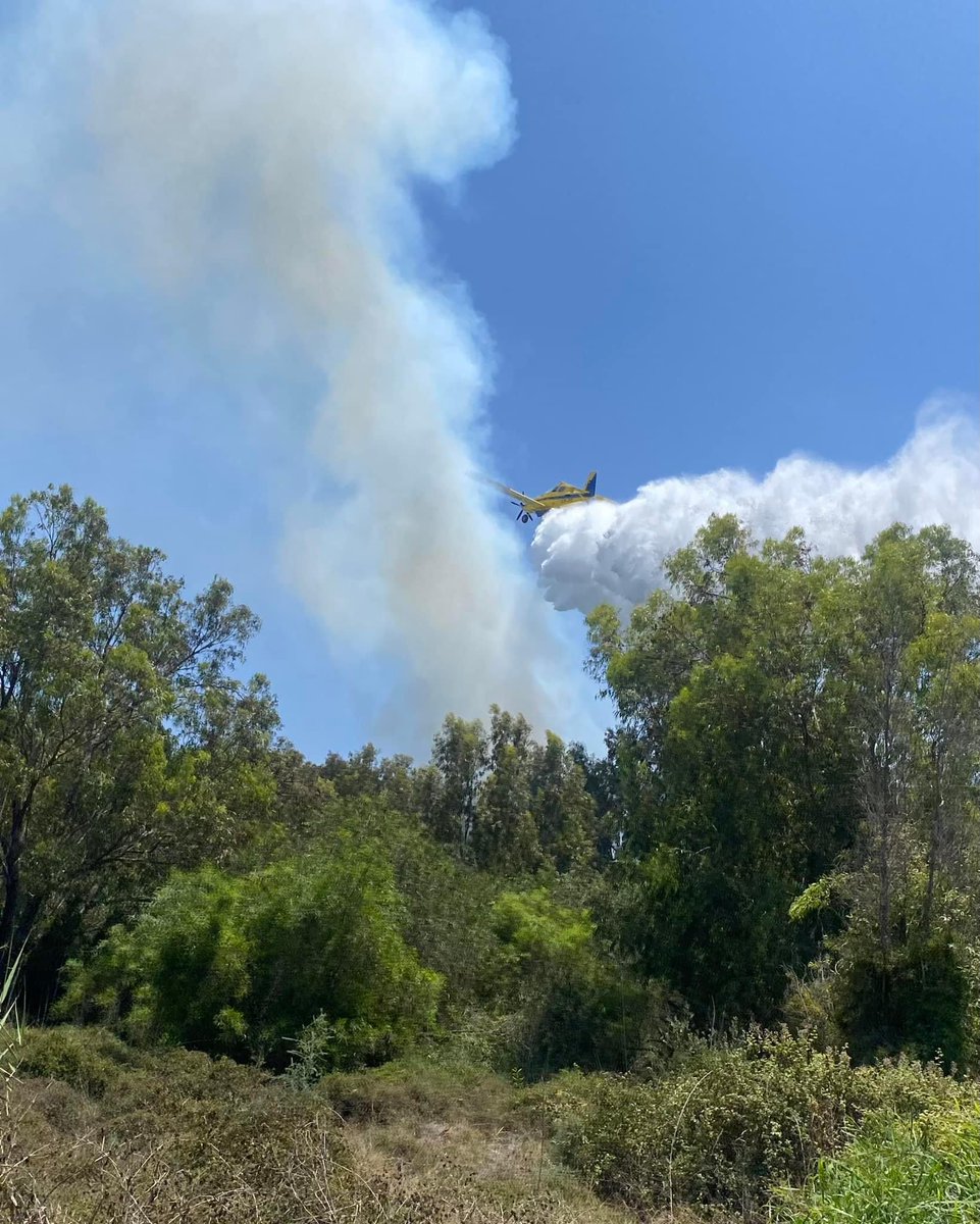 bfcyprus's tweet photo. Another great display of teamwork working alongside Cyprus Fire Service, @DeptOfForests to tackle a fire at the Fassouri plantations yesterday. Well done to everyone involved 👏🔥

#BritishBases #Cyprus #FireStation #CyprusFireService https://t.co/sqshUPAiBO