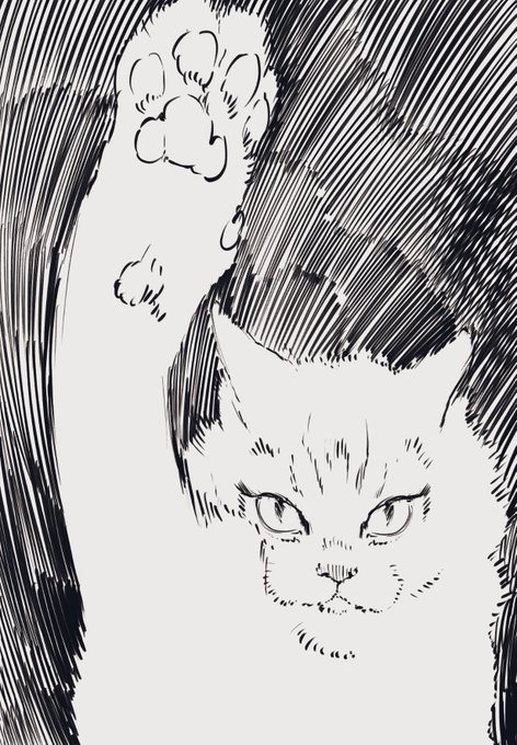 「素人質問で恐縮ですが」描いてみました 