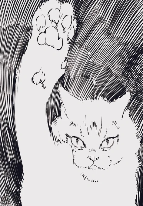 「素人質問で恐縮ですが」描いてみました 