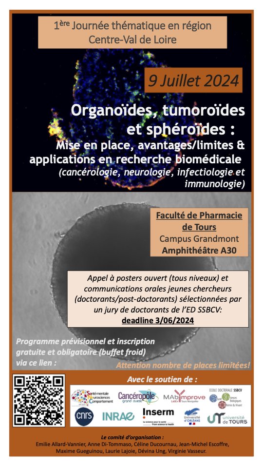 iBrain_Inserm's tweet photo. [RECHERCHE] Nous inaugurons la 1ère journée scientifique sur les organoïdes, les tumoroïdes et sphéroïdes avec @Inserm_N2C, #NMNS, #BIOMAP de l'#UnivTours et avec le soutien de @CanceropoleGO, @MabImprove, #SFRSANEC, #EDSSBCV, #ISP, @InsermGrdOuest @INRAE_VDL @DR08_CNRS https://t.co/Eh3mUrUJih