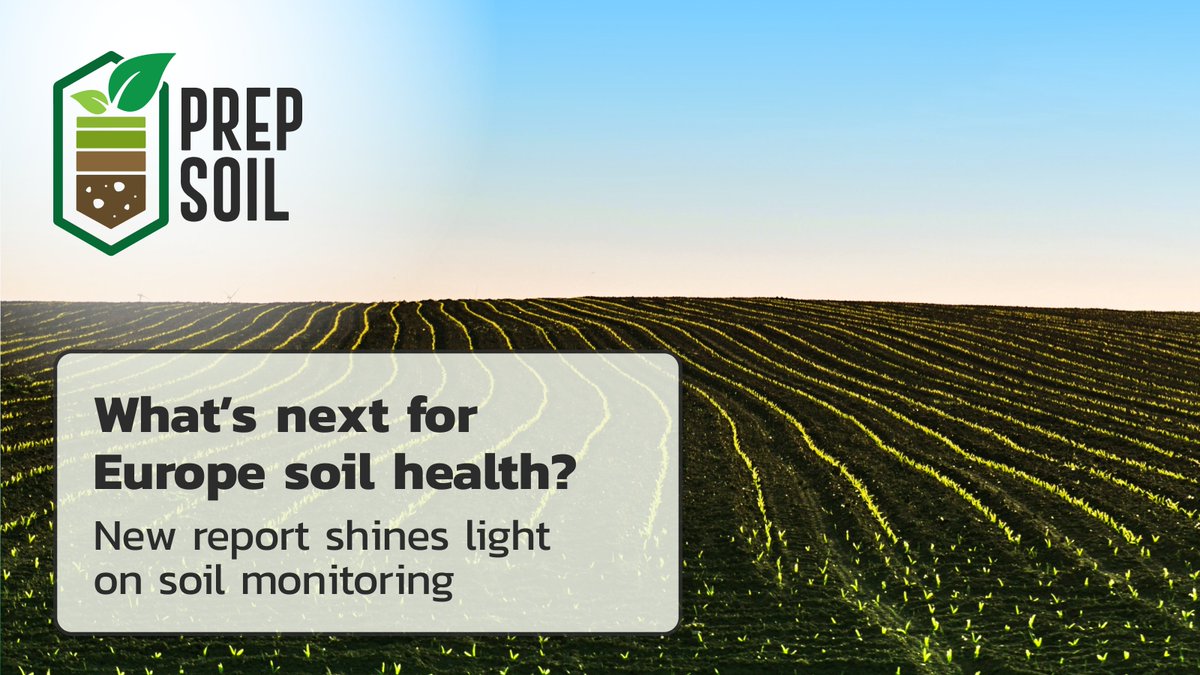 prepsoil's tweet photo. 🌿 One of the main goals of PREPSOIL is to support the Soil Mission by improving methodologies and extending the findings from agricultural soil projects for soil monitoring. 

📃Want to know more? Check out the newspiece on our website https://t.co/eYCdvhL5Zw https://t.co/8m3JRQN6Jj