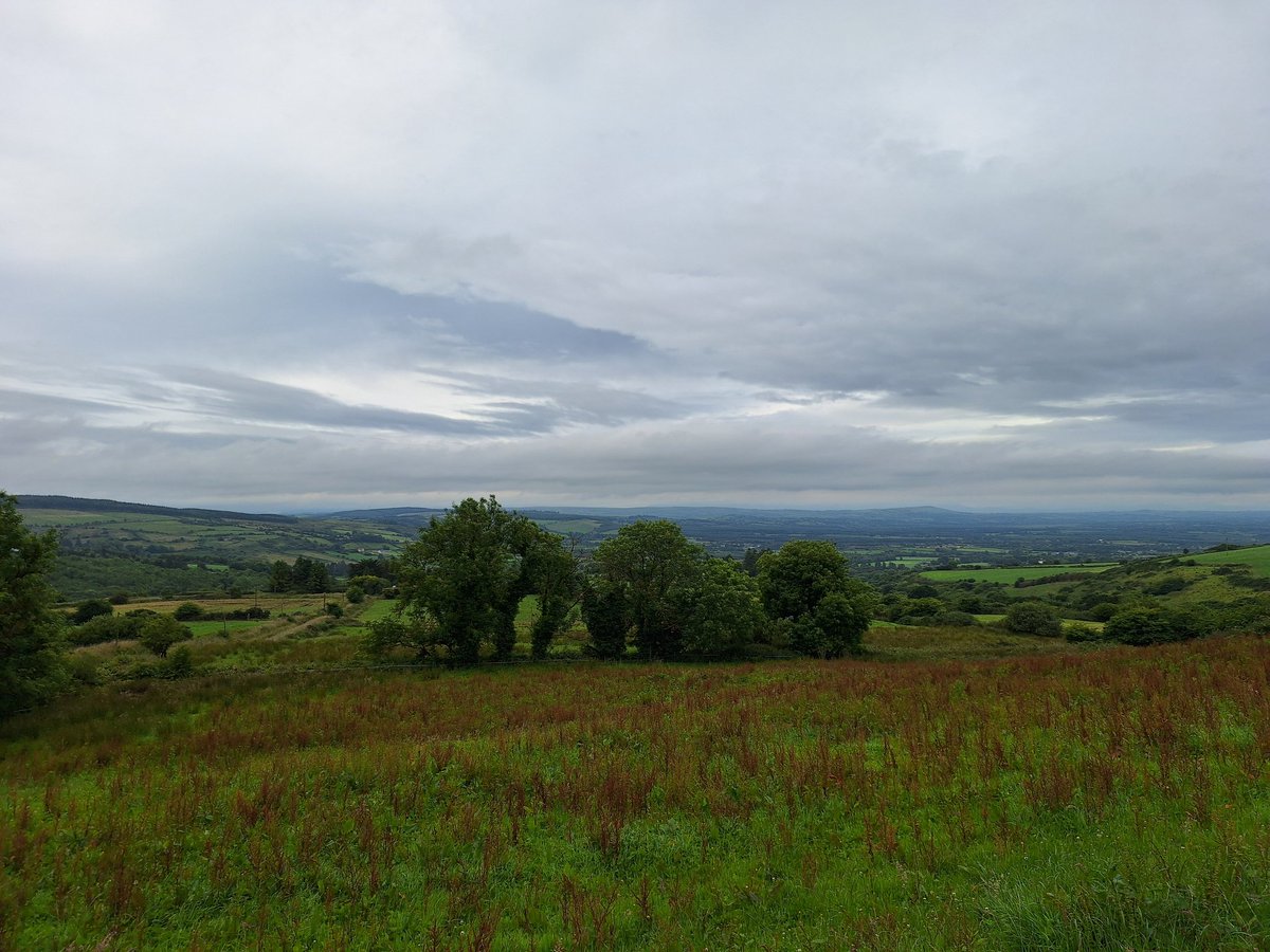 Richard Parkinson tweet media