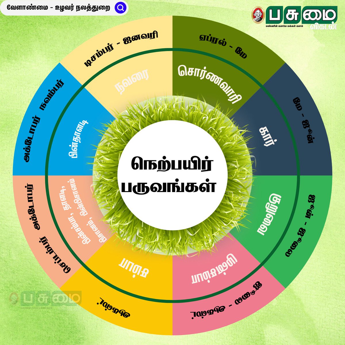 PasumaiVikatan's tweet image. நெற்பயிர் பருவங்கள்!

#Paddy #Agriculture #Farmer #AgricultureDepartment