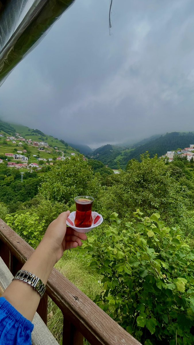 LAdamat21785's tweet photo. 🌲🦋 https://t.co/drzLCswIae