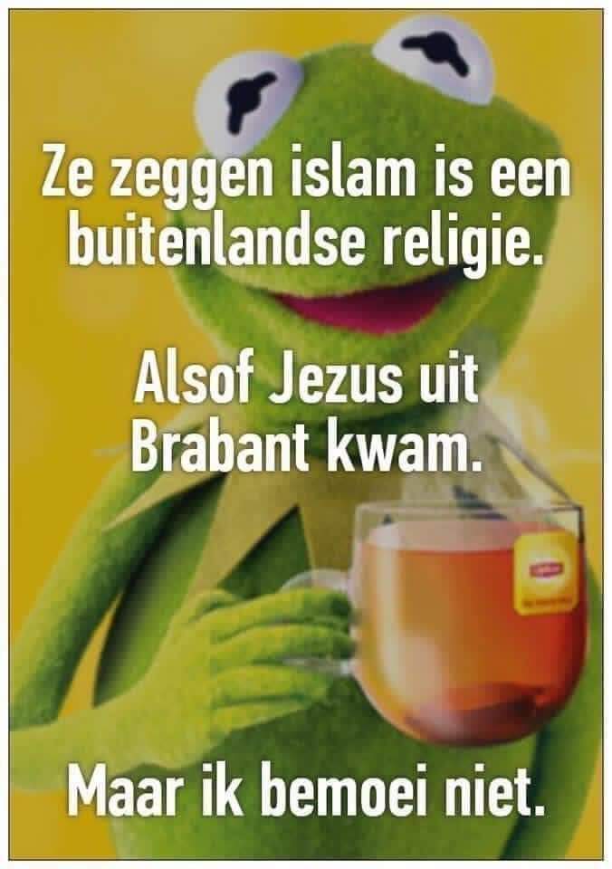 Peggy Wijntuin tweet media