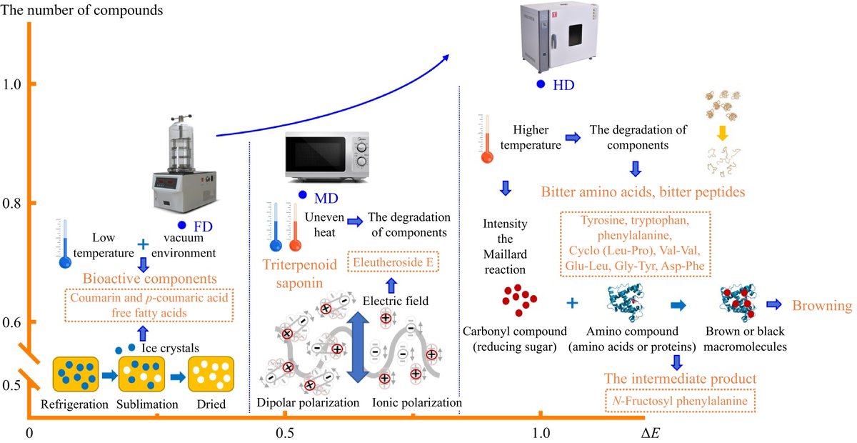 FoodAdvance1's tweet image. #FIA #foodhealth #Dryingtechnology
🌸Lily bulbs dried by microwave boost bioactive compounds! 🔬
@MAximumAcademic @pauldcotter @wileyfoodsci  @PSL_Cranfield @Nutrients_MDPI
Details: maxapress.com/article/doi/10…