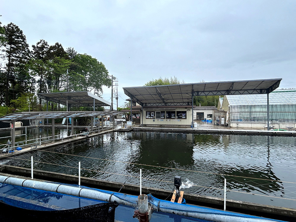 tentsheet's tweet photo. 【釣り堀の景観を一新！安全性と快適性を兼ね備えた特注テント上屋の新設工事】
数年前に弊社が建���させていただいたテント上屋の隣に建設されることになり、2連棟のテント上屋が並ぶ姿は非常に印象的で、見ごたえのある光景です。
#釣り堀 #特注テント #テント上屋 #新設工事
https://t.co/54gLKNkzYi https://t.co/S1q8UgBJn4