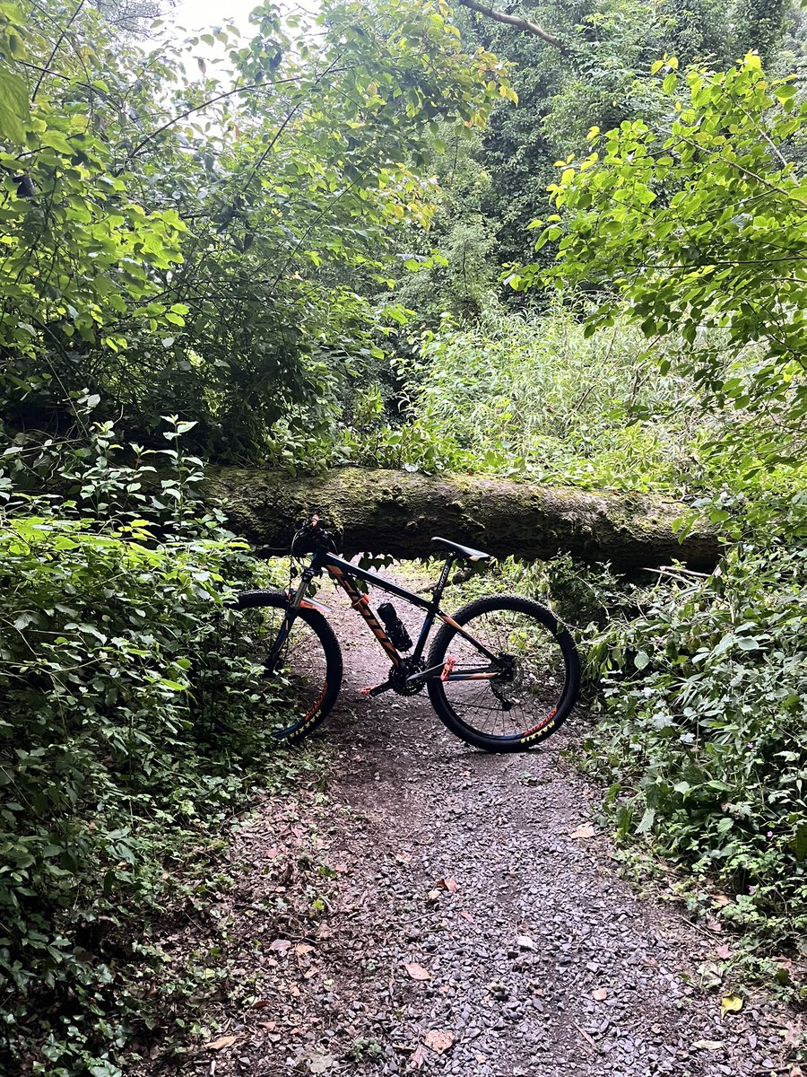 Dashie_r6's tweet photo. @KLEvans89 sorry to bother you again. There is another tree down on the mountain bike paths at the lakes. Could you pass it on to the maintenance team. (Approximately where the pin is on the map attached) 

Thanks in advance and keep up the good work. https://t.co/af9RwVp96R