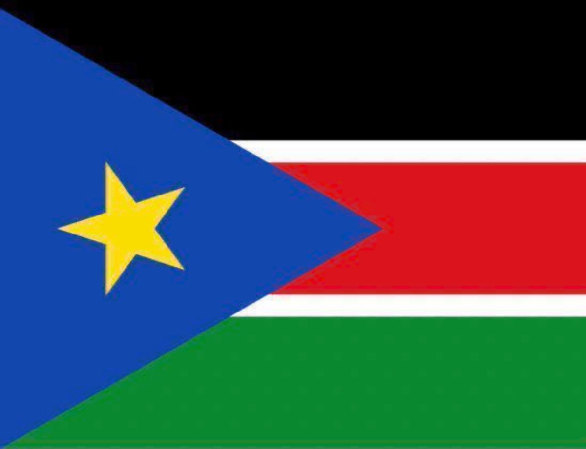 lydiagavi_'s tweet photo. The flag                                          The face https://t.co/0MIAtchrVY