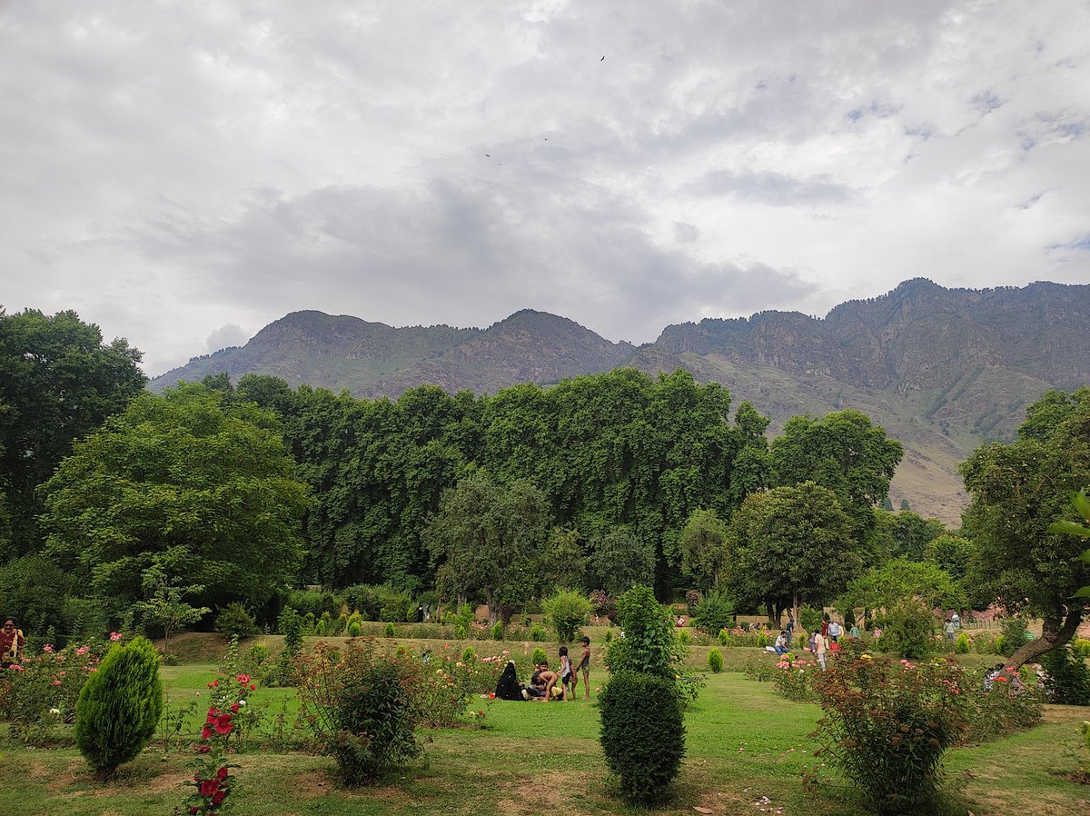 nirupamakotru's tweet photo. Changing moods of nature in #NishatGardens this Sunday😍Garden was over-crowded with picnicking families,but all I could notice were the massive #Chinar trees which were talking to me❤
My kids noticed I had clicked some bare-bottomed boys.Reminded me of a Bresson or Blake pic 😄 https://t.co/CDyvKl8KXQ