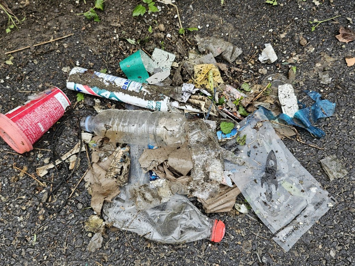 rokeeKR's tweet photo. #CleanUpChallenge
@cleanify_vet https://t.co/wkEMJ7ywD5