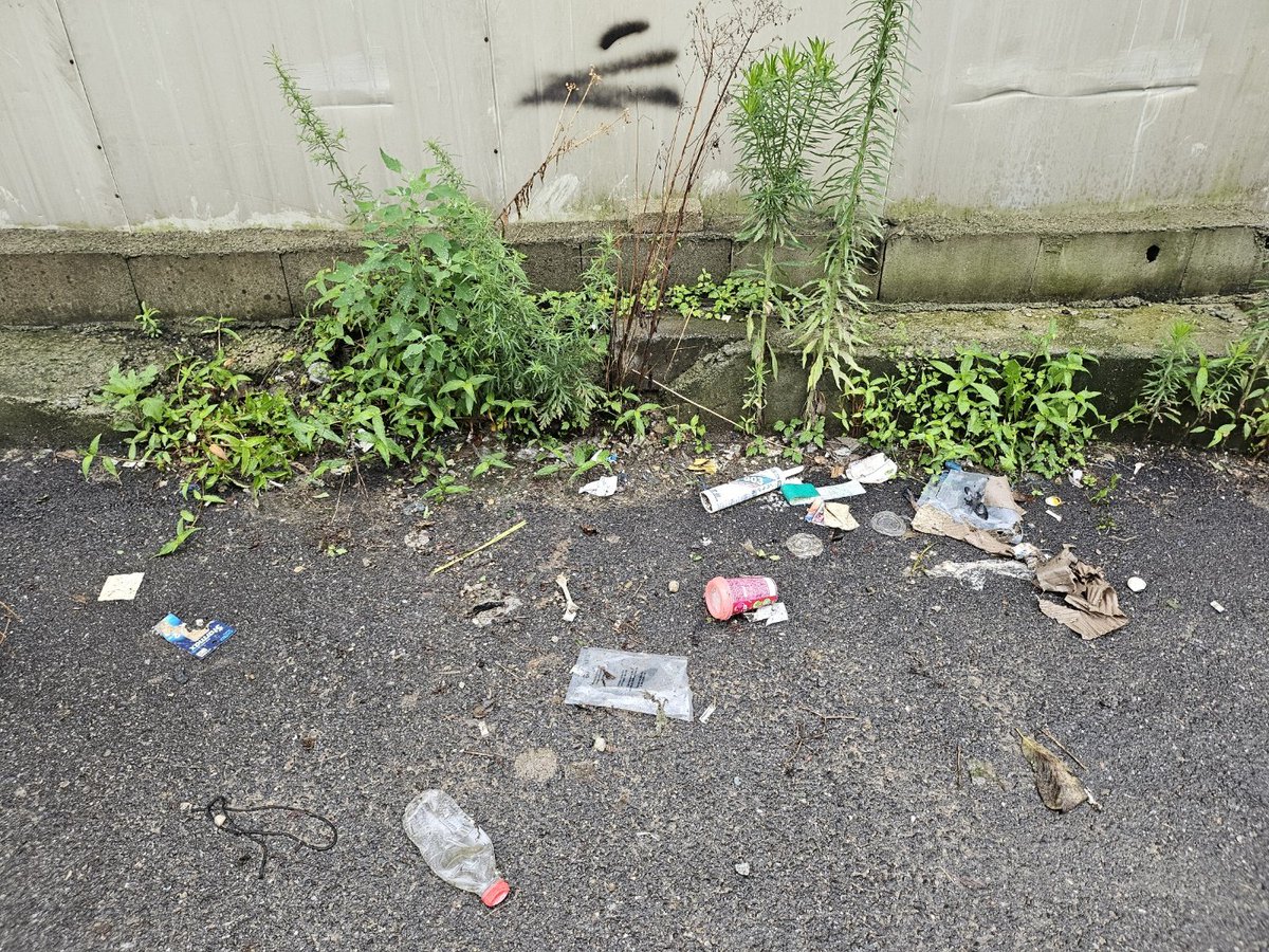 rokeeKR's tweet photo. #CleanUpChallenge
@cleanify_vet https://t.co/wkEMJ7ywD5