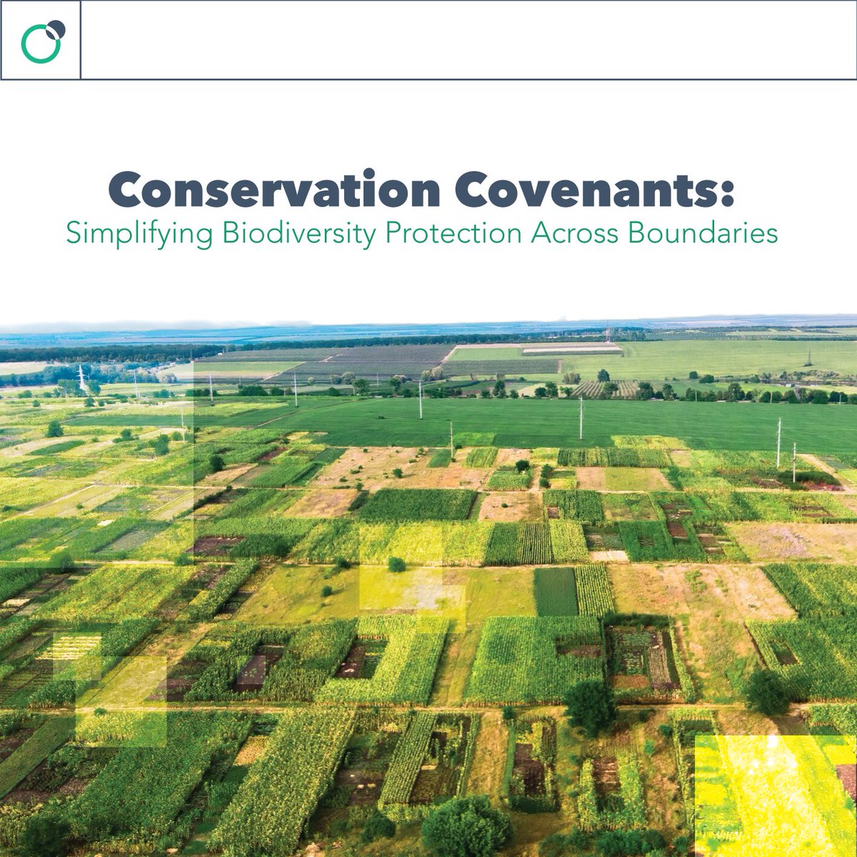 TerraExchange_'s tweet photo. 🤝🌳 Unlocking the potential of conservation covenants for streamlined biodiversity protection. Discover the benefits and challenges of this new regime and the crucial role of #responsiblebodies in ensuring its success. 📈 

Link below

#ConservationCovenants #BiodiversityOffsets https://t.co/Uaj6ugWQRT
