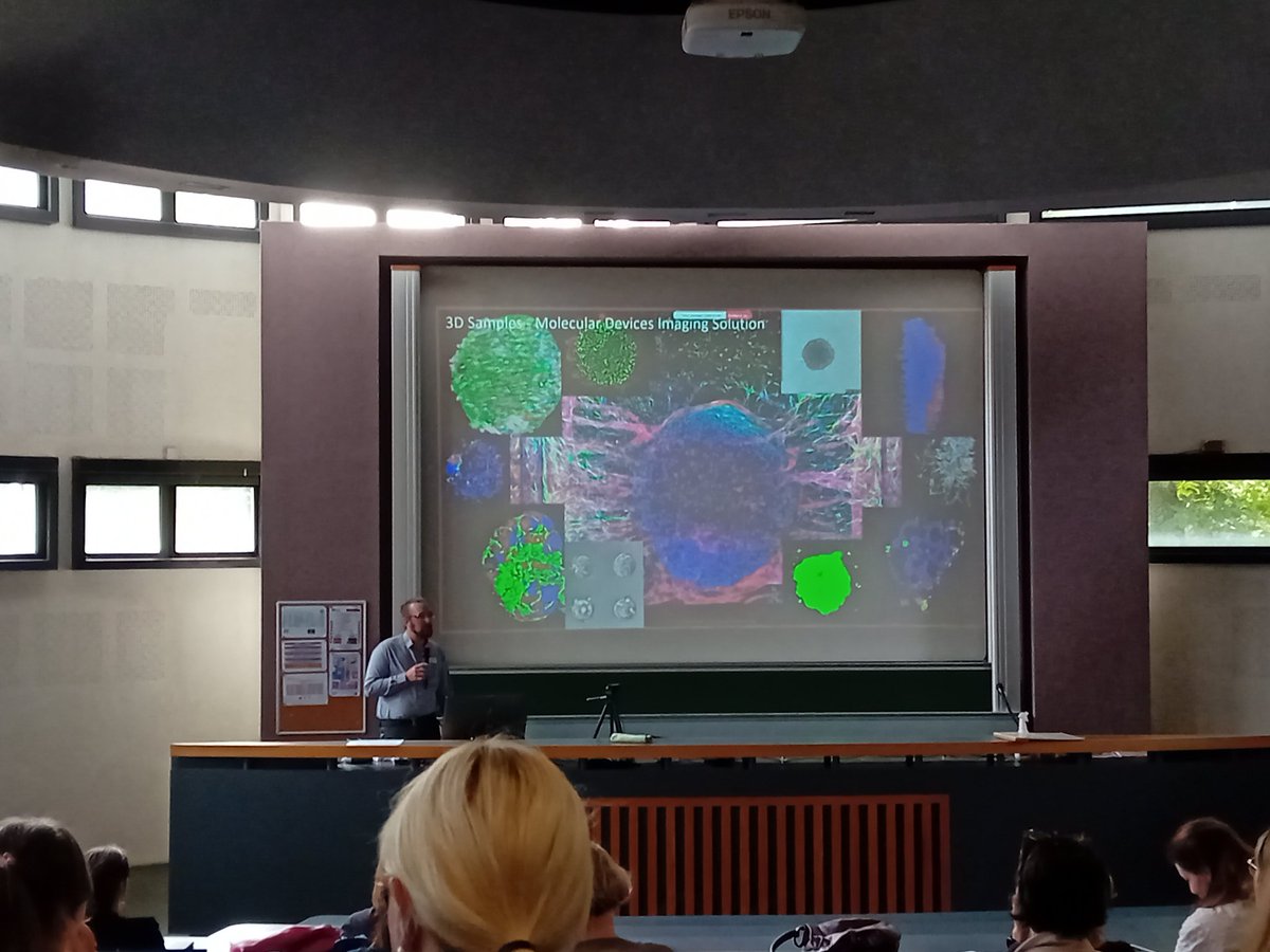 iBraiN Inserm Lab 🧠 🌱 tweet media