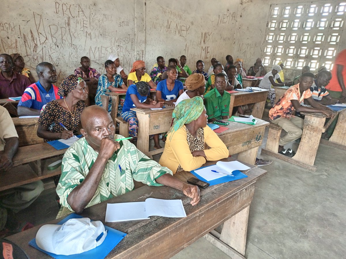 drcwestafrica's tweet photo. #CAR🇨🇫: @DRC_ngo et l'Agence centrafricaine de développement agricole #ACDA forment des agriculteurs de la commune de #Ndim sur les itinéraires techniques de leurs cultures vivrières dans le cadre du @projetsolid financé par 🇪🇺 @UEauCameroun @UEenRCA https://t.co/rrxeOwawKt